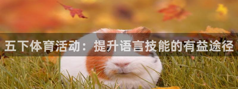 球客岛