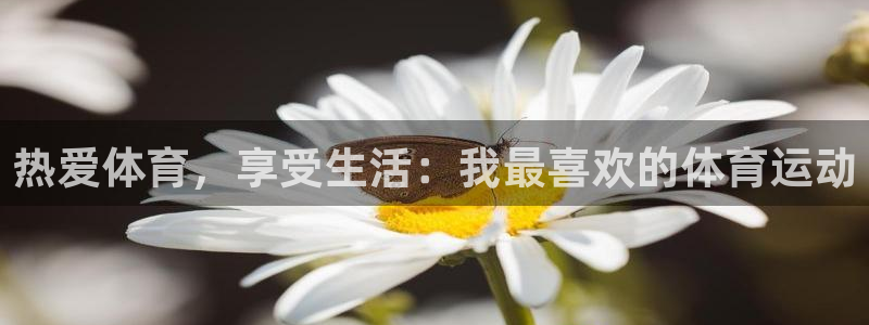 球客岛