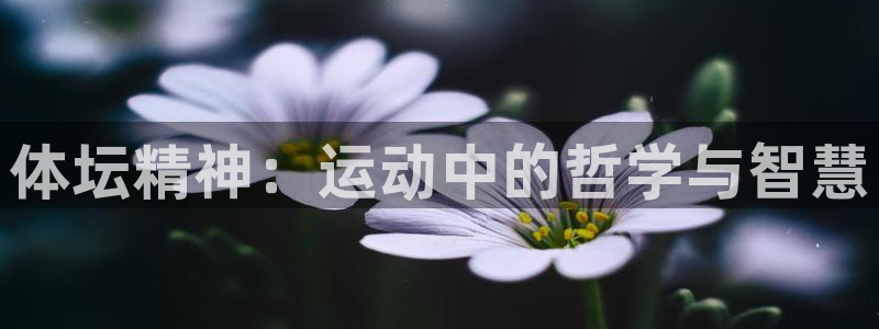 球客岛