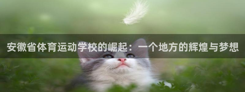 球客岛