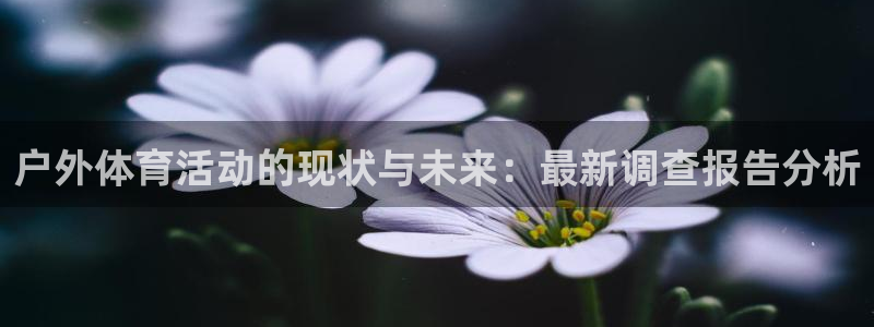 球客岛