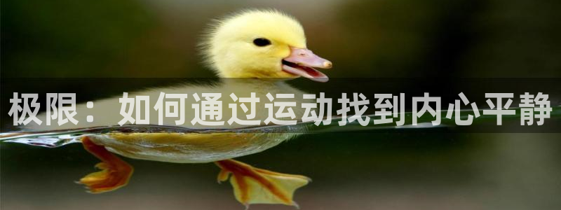 球客岛